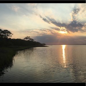 Meet your Posher, Cody